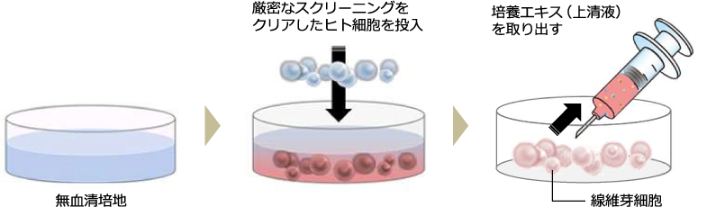 幹細胞上清液とは
